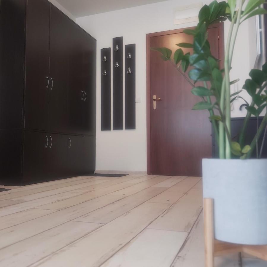 Saint Nicholas Varna Lovely 2 bedroom apartment with sunny garden Buitenkant foto